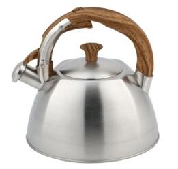 stainless steel kettle