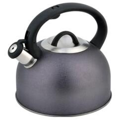 stainless steel kettle