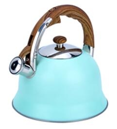 stainless steel kettle