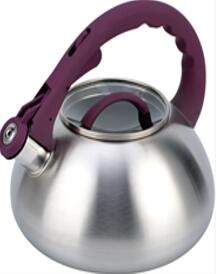 stainless steel kettle