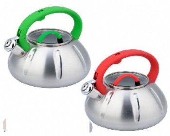 stainless steel kettle