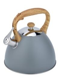 stainless steel kettle