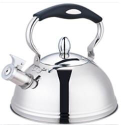 stainless steel kettle