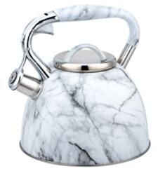 stainless steel kettle