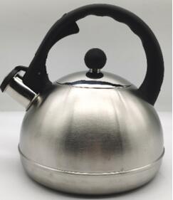 stainless steel kettle