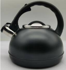 stainless steel kettle