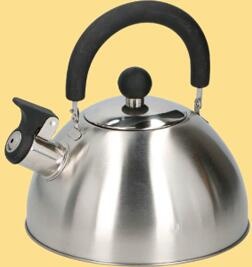 stainless steel kettle