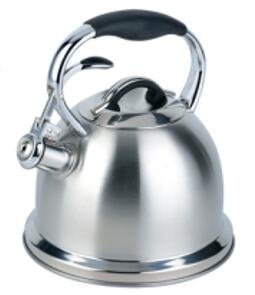 stainless steel kettle