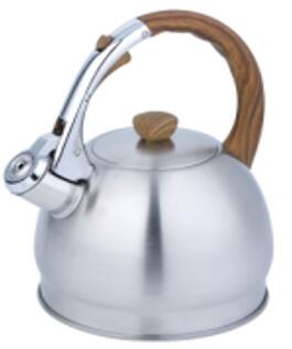 stainless steel kettle