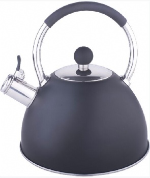 stainless steel kettle