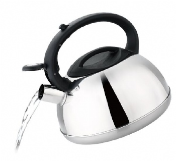 stainless steel kettle