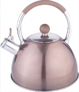 stainless steel kettle