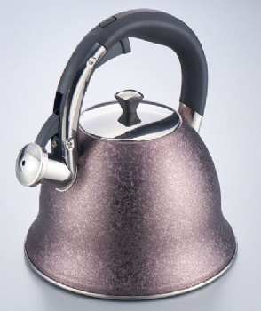 stainless steel kettle