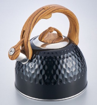 stainless steel kettle