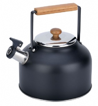 stainless steel kettle