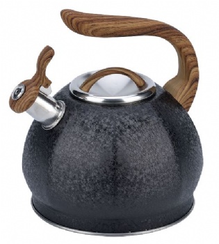 stainless steel kettle