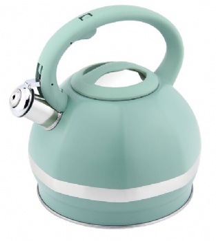 Stainless Steel Kettle