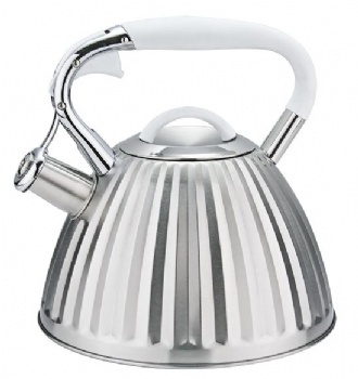 stainless steel kettle