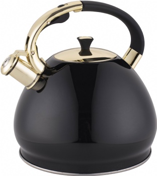 Color Coated Stainless Steel Kettle