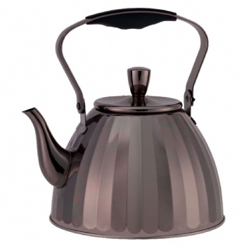 Modern Designed Stainless Steel Kettle