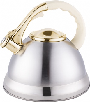 Stainless Steel Kettle