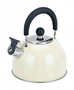 Stainless Steel Kettle with moveble handle